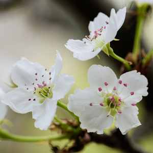 刺激战场一阴二阳
