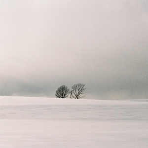 刺激战场一阴二阳
